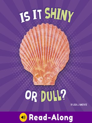 cover image of Is It Shiny or Dull?
